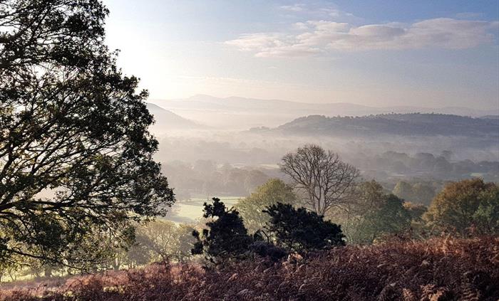 Cambrian Mountains